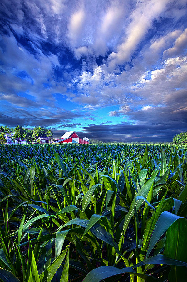 Country Living #1 Photograph by Phil Koch