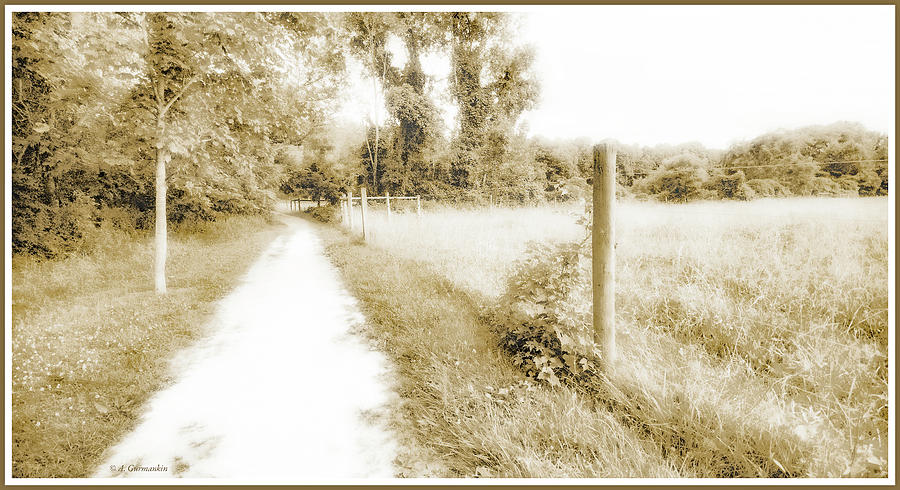 Country Path Along a Cow Pasture #1 Photograph by A Macarthur Gurmankin