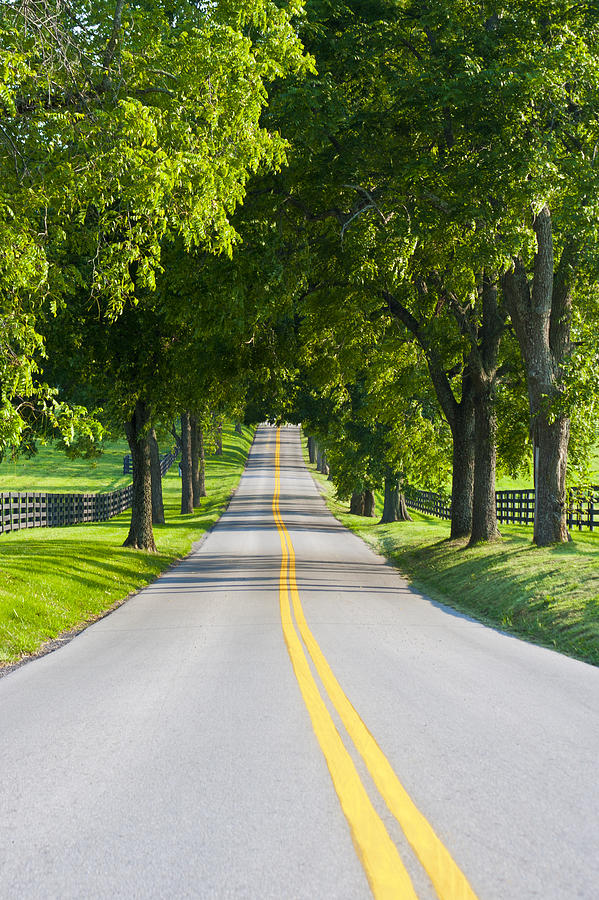 Country road Photograph by Irina Moskalev - Fine Art America