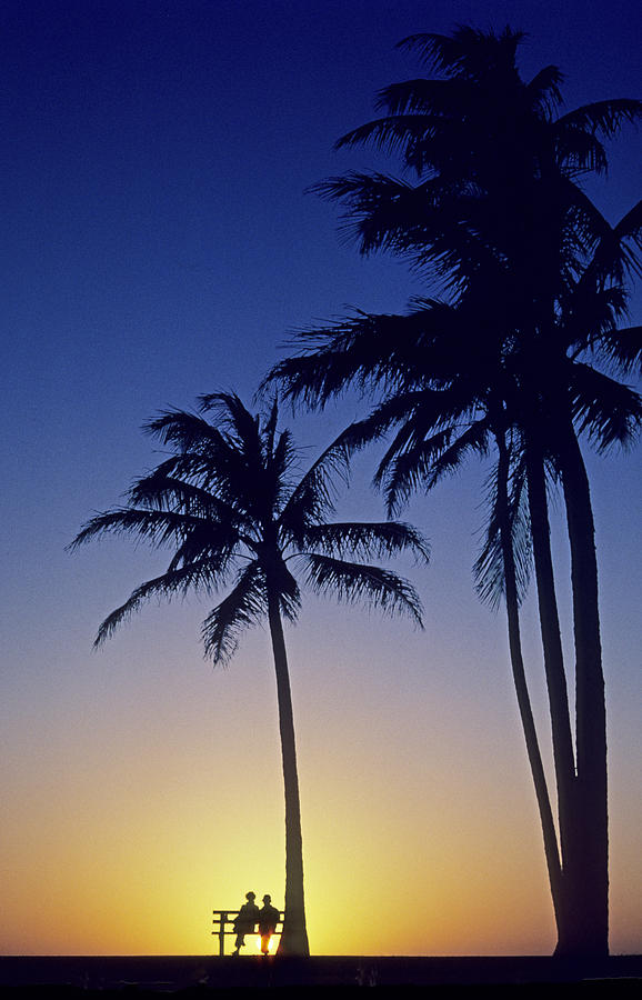 Couple And Sunset Palms #1 Photograph by Carl Shaneff - Printscapes