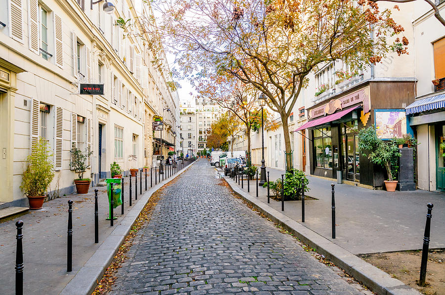 Cours des Petites Ecuries in Paris #1 Photograph by Alain De Maximy