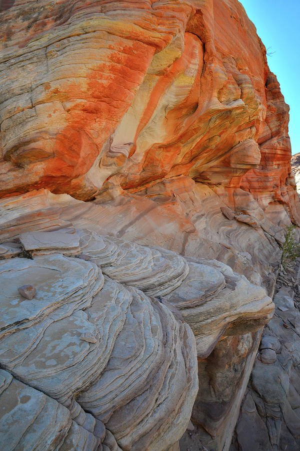 Cove Of Color In Valley Of Fire State Park Photograph