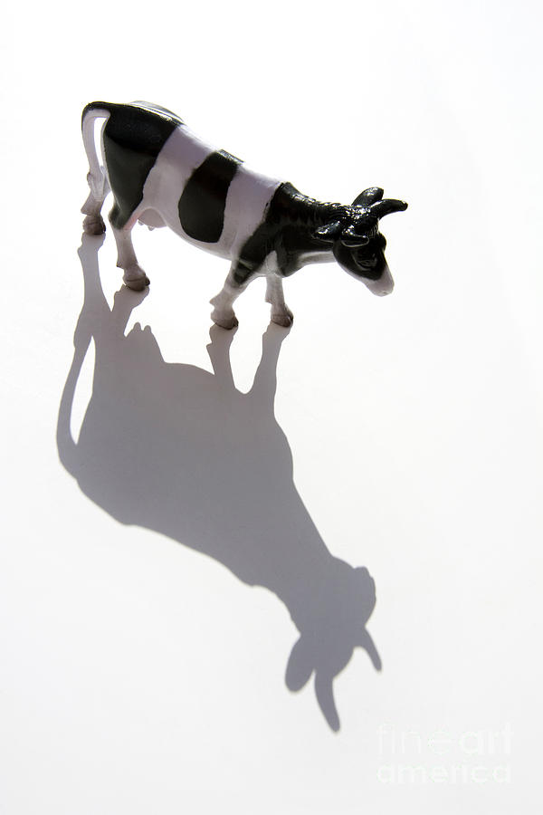 Animal Photograph - Cow figurine #1 by Bernard Jaubert