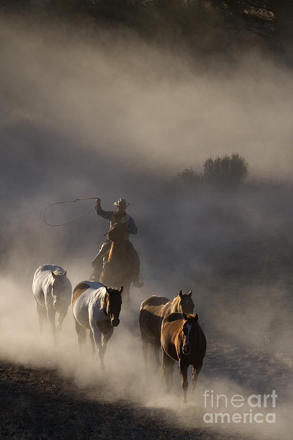Cowboy Chasing Horses #1 Photograph by Jean-Louis Klein & Marie-Luce Hubert