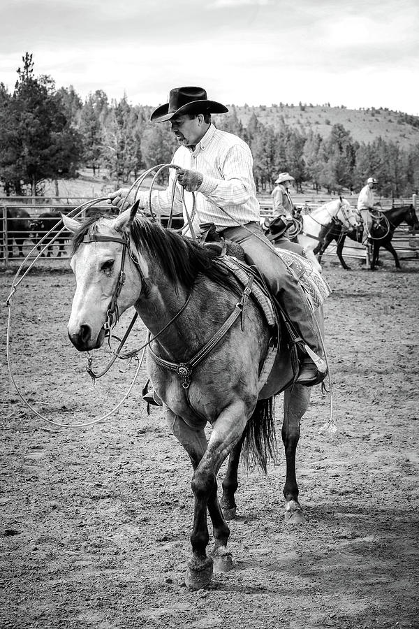 Cowboy Wrangler #1 Photograph by Athena Mckinzie
