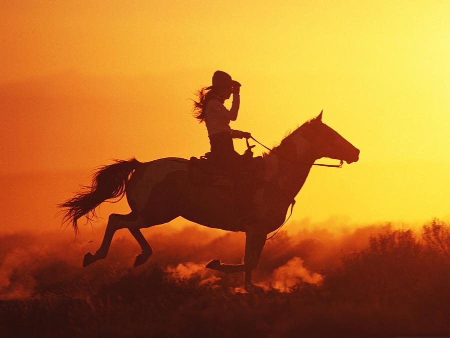 Sunset Digital Art - Cowgirl #1 by Maye Loeser