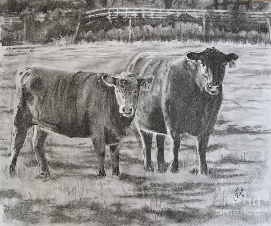 Cows to Pasture Drawing by Julie Ashton Pixels