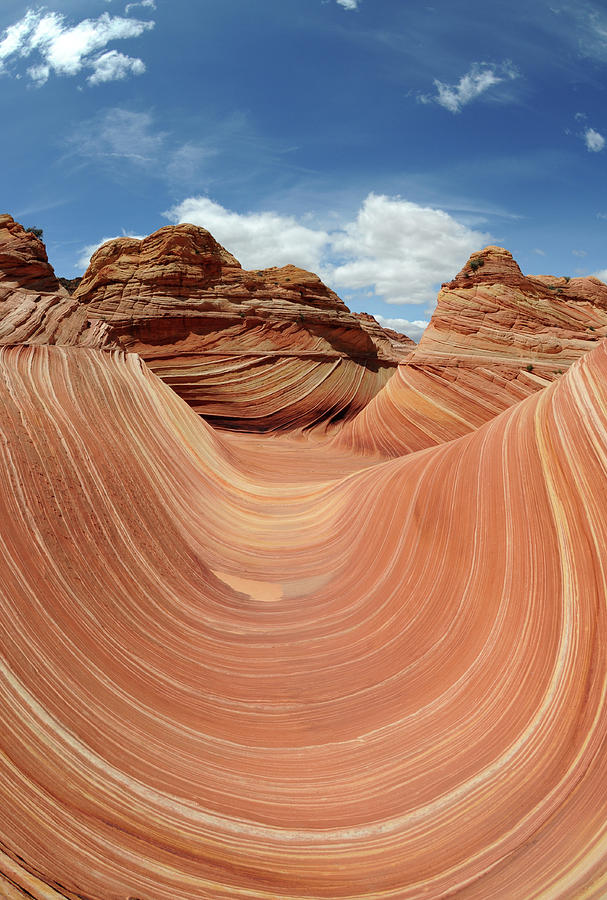 Coyote Buttes Photograph by David Hogan Coyote Buttes Photograph by David Hogan