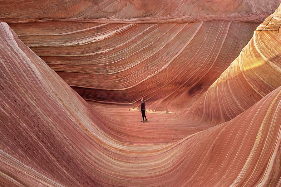 Coyote Buttes North #1 Photograph by Michael Just
