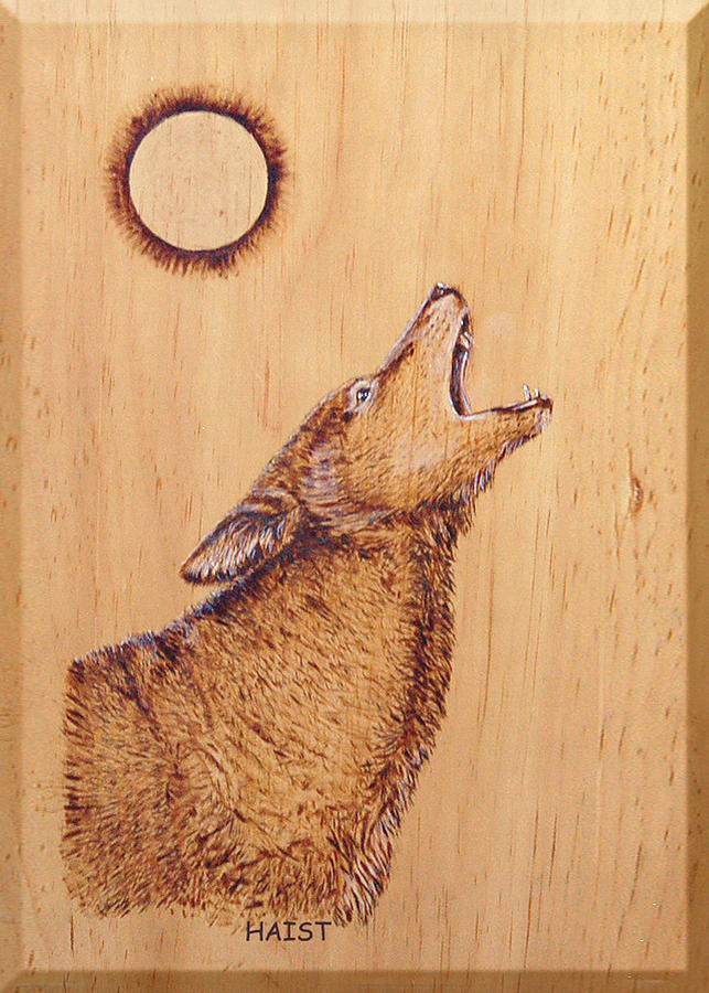 Coyote #2 Pyrography by Ron Haist