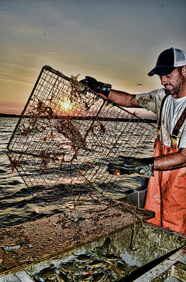 Crabbing on the Potomac #1 Photograph by La Dolce Vita