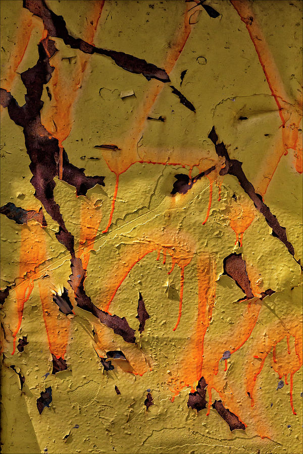 Cracked and Peeling Yellow Paint #1 Photograph by Robert Ullmann