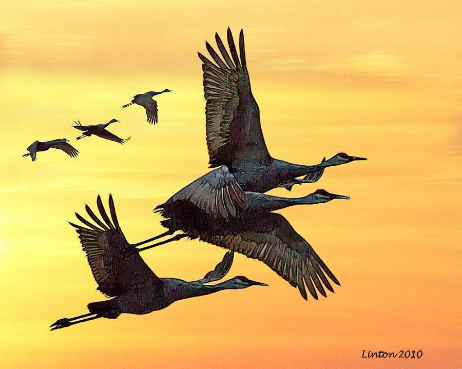 Bird Digital Art - Cranes At Sunset #1 by Larry Linton