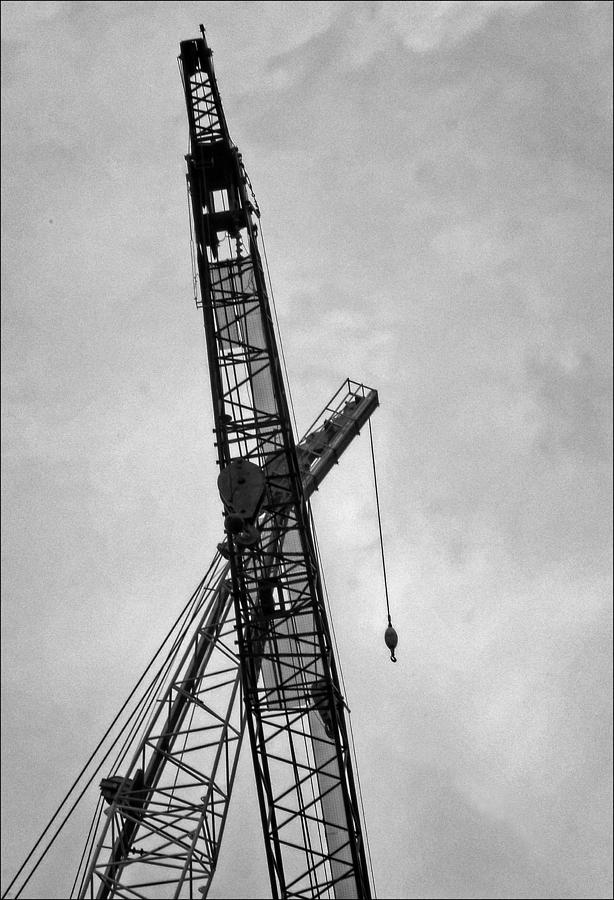 Construction Photograph - Cranes in Love #1 by Robert Ullmann
