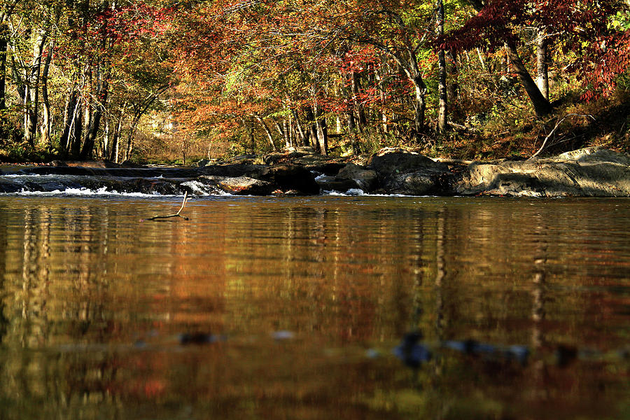 Creek water flowing through woods in autumn by Emanuel Tanjala Creek water flowing through woods in autumn by Emanuel Tanjala