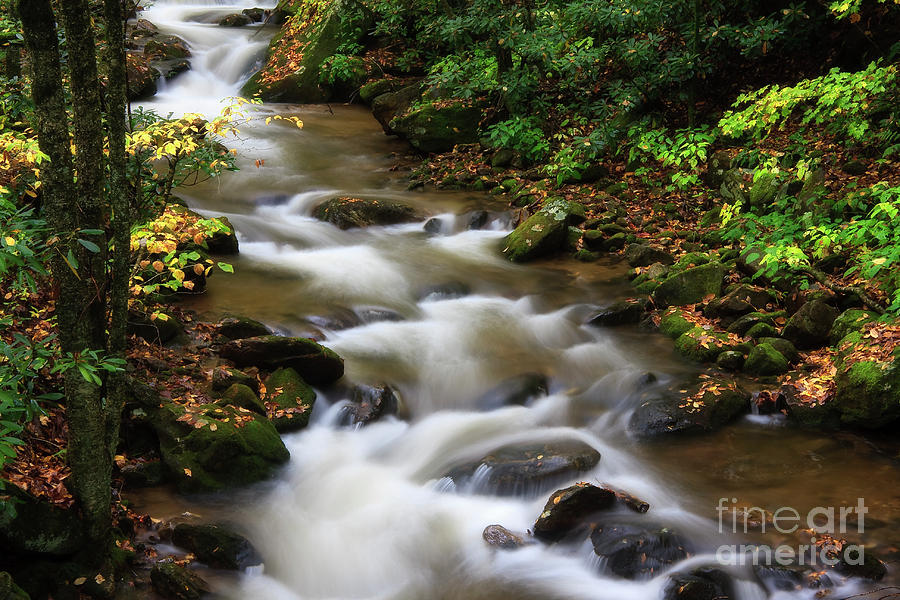 Creek Water #2 Photograph by Jill Lang