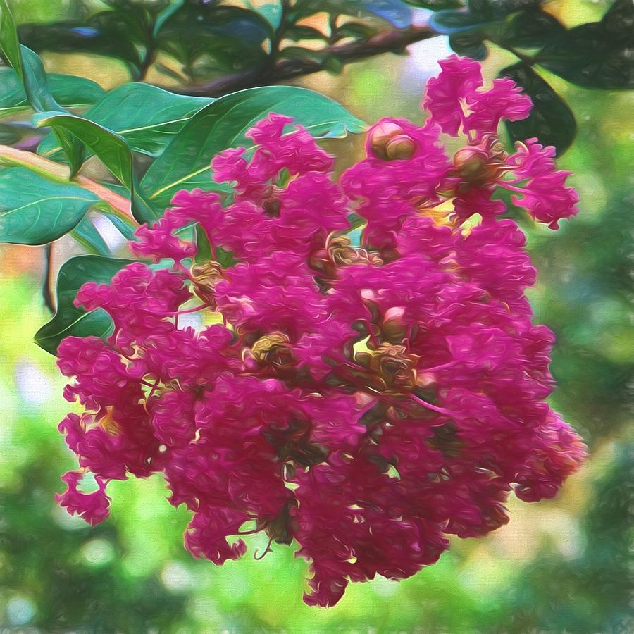 Crepe Myrtle  #2 Mixed Media by Richard Rizzo