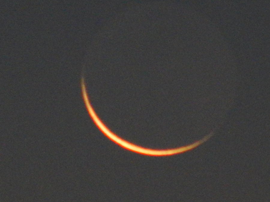 Crescent Moon #1 Photograph by Virginia White