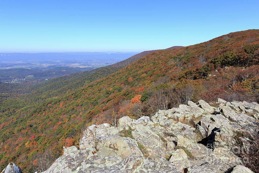 Crescent Rock Overlook on Skyline Drive in Shenandoah National Park #1 Photograph by Louise Heusinkveld
