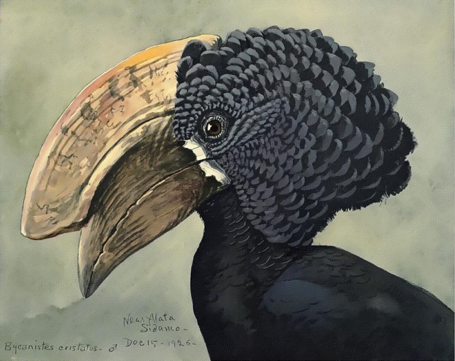 Crested Hornbill #1 Painting by Louis Agassiz Fuertes