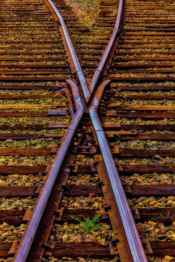 Cross Tracks #1 Photograph by Garry Gay
