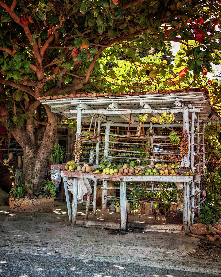 Banana Photograph - Cuban Fruit Stand #2 by Joan Carroll
