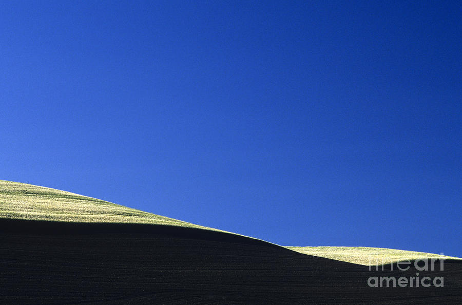 Cultivated Wheat Field Abstract #1 Photograph by Jim Corwin