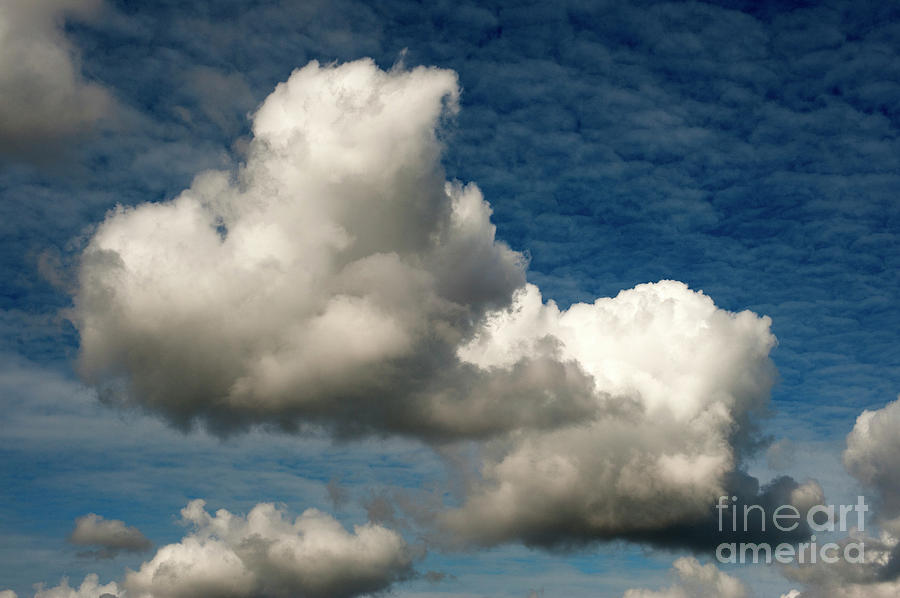Cumulus Congestus Clouds  #1 Photograph by Jim Corwin