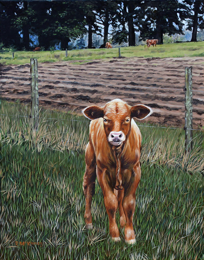 Curious Calf #1 Painting by Rick McKinney
