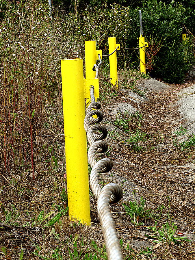 Curly Cable And Yellow Post #1 Photograph by John King I I I