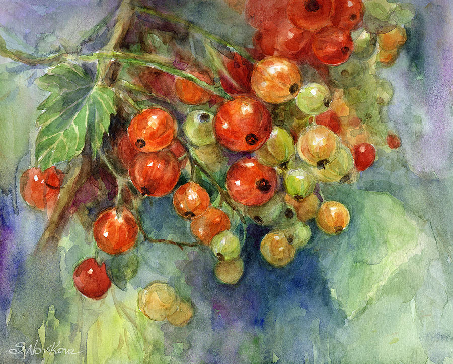 Currants berries painting #1 Painting by Svetlana Novikova