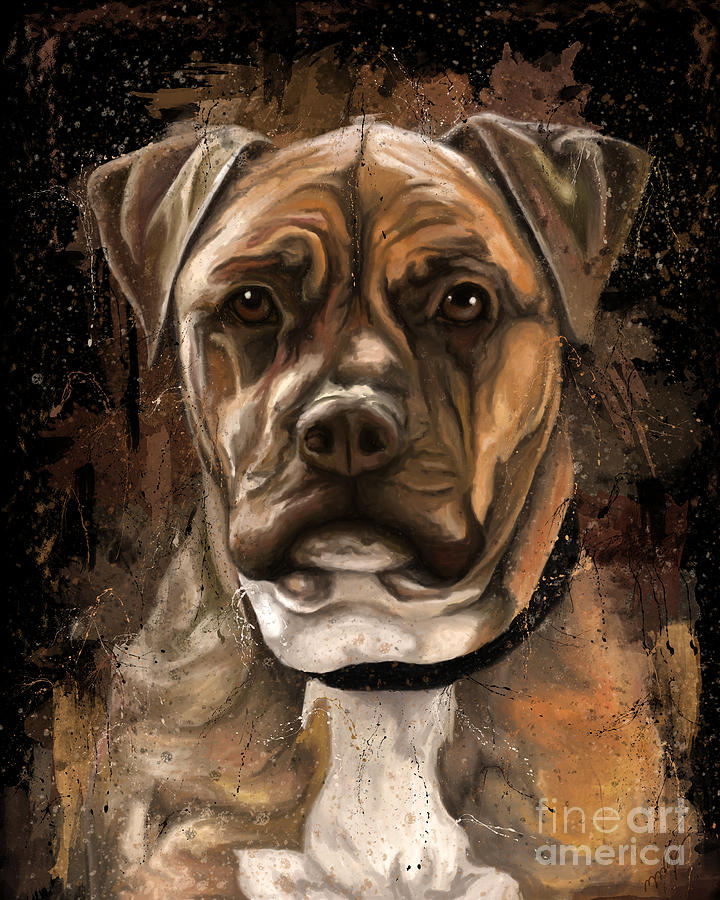 Dog portrait painting, American staffordshire terrier Painting by Nadia CHEVREL