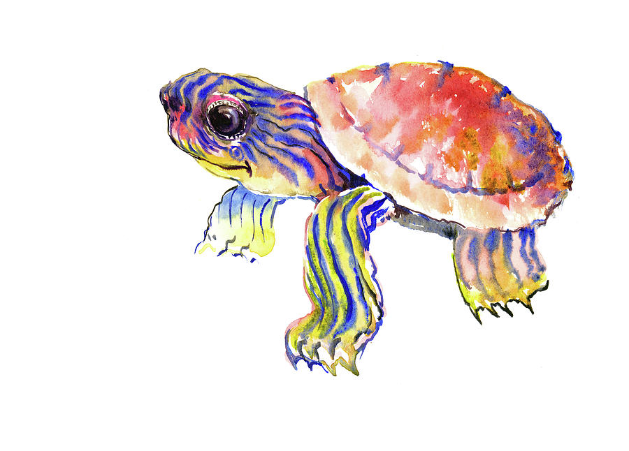 Cute Baby Turtle #2 Painting by Suren Nersisyan