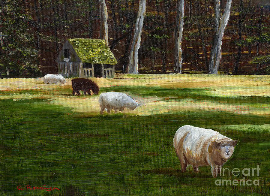 Cuttalossa Sheep Farm Painting by Paint Box Studio