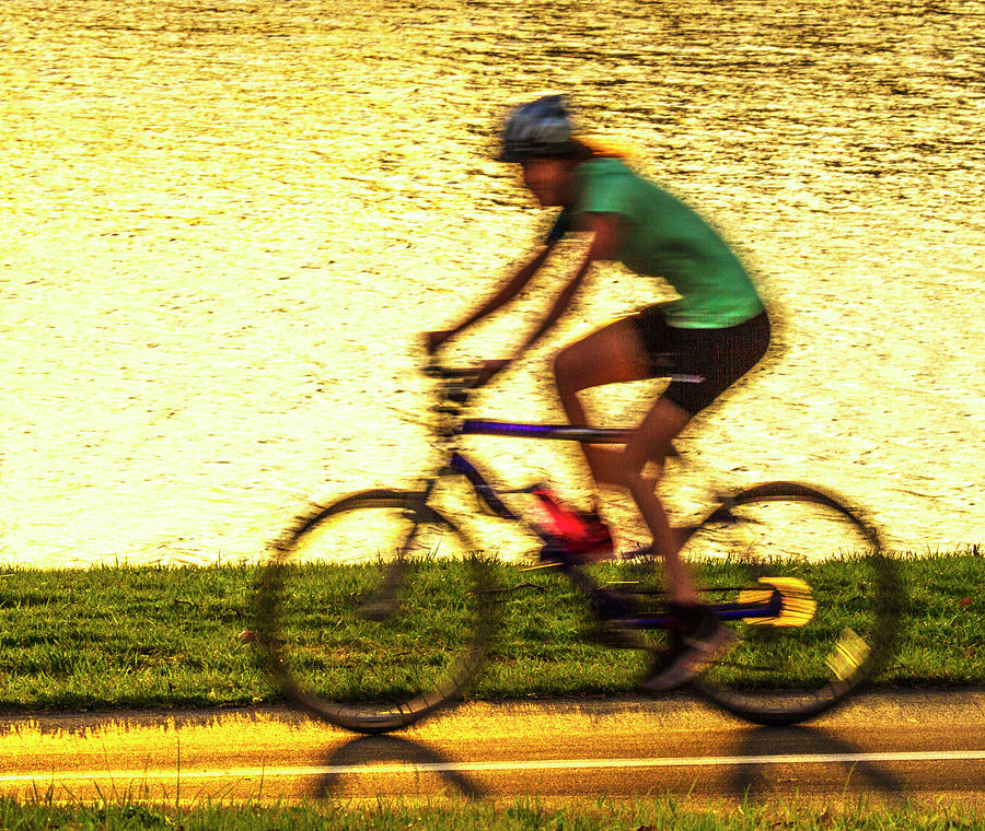 Cycling In Forest Park Photograph