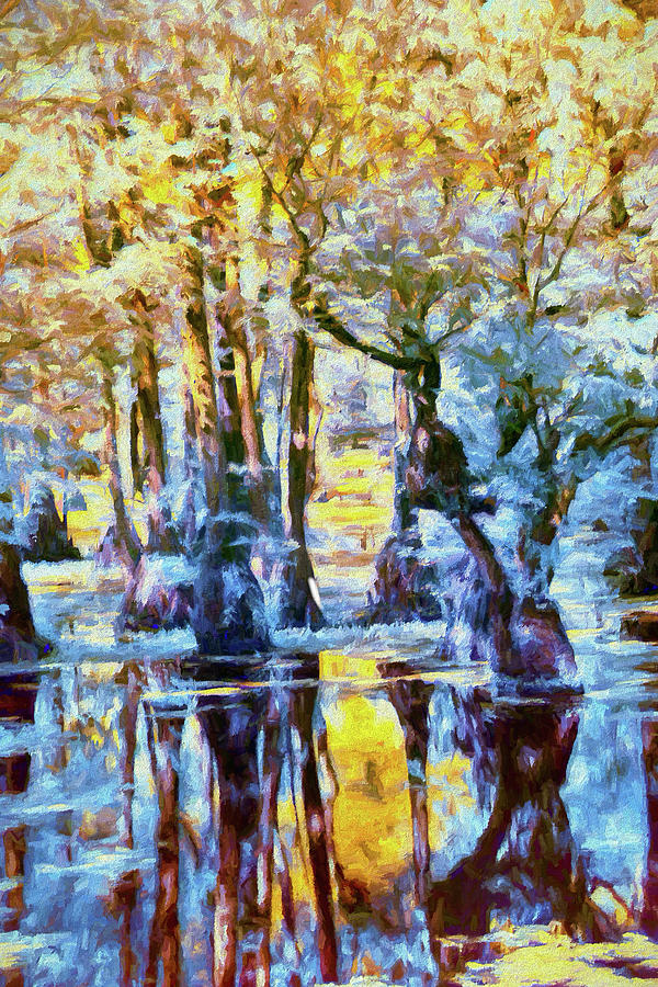 Cypress Swamp Land AP #1 Digital Art by Dan Carmichael