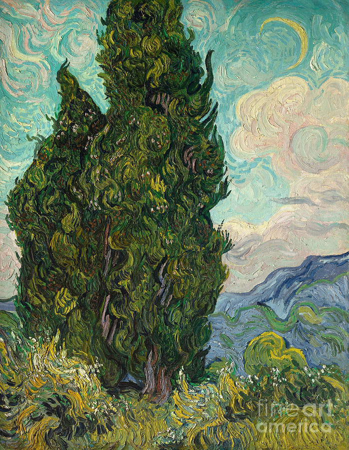Cypresses, 1889 Painting by Vincent Van Gogh