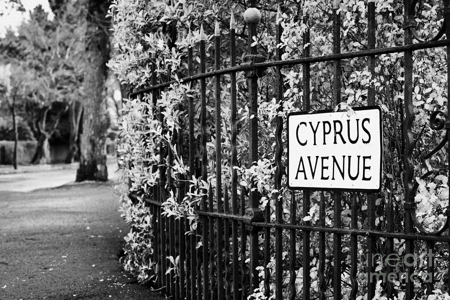 Van Morrison Photograph - Cyprus Avenue Belfast as made famous by the Van Morrison song #1 by Joe Fox