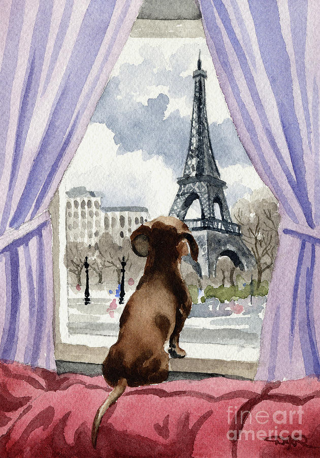 Paris Painting - Dachshund in Paris  #2 by David Rogers