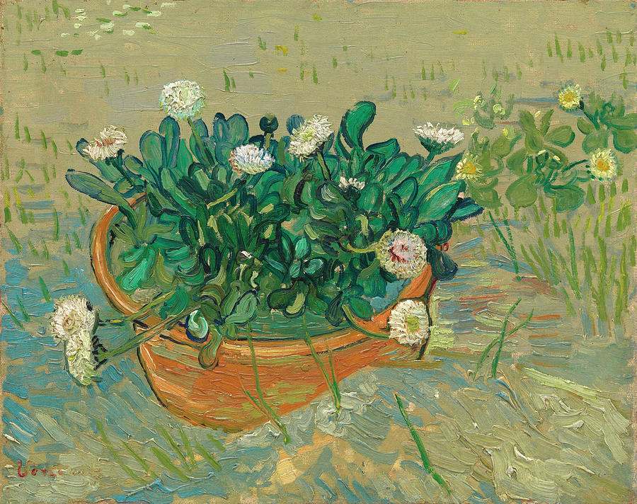 Vincent Van Gogh Painting - Daisies, Arles #1 by Vincent van Gogh