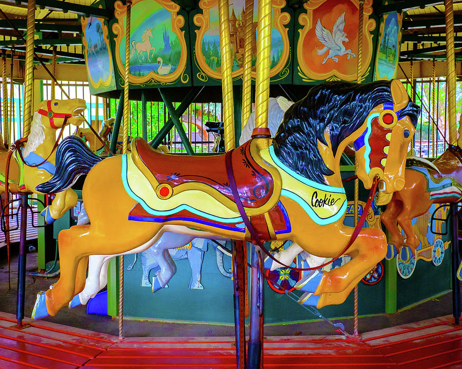 Cookie the Horse Kennedy Park Antique Merry Go Round Carousel ...