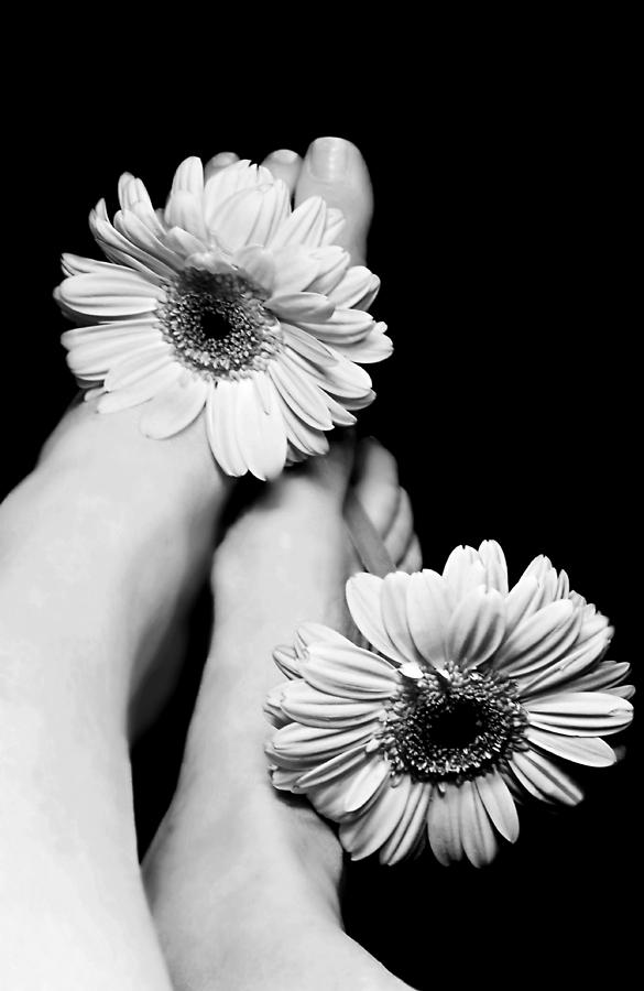 Daisy Toes #1 Photograph by Diana Angstadt