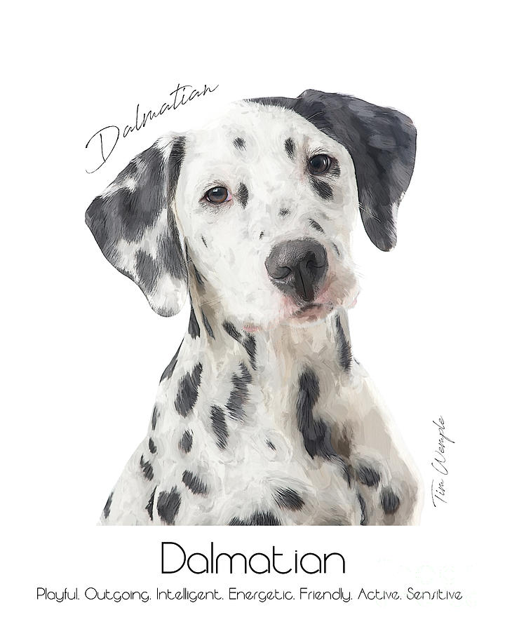 Dalmatian Poster #1 Digital Art by Tim Wemple