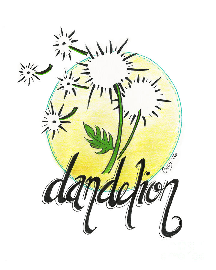 Dandelion #1 Drawing by Cindy Garber Iverson