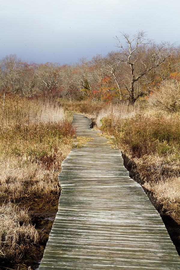 DANIEL WEBSTER AUTUMN XI by Steven David Roberts DANIEL WEBSTER AUTUMN XI by Steven David Roberts