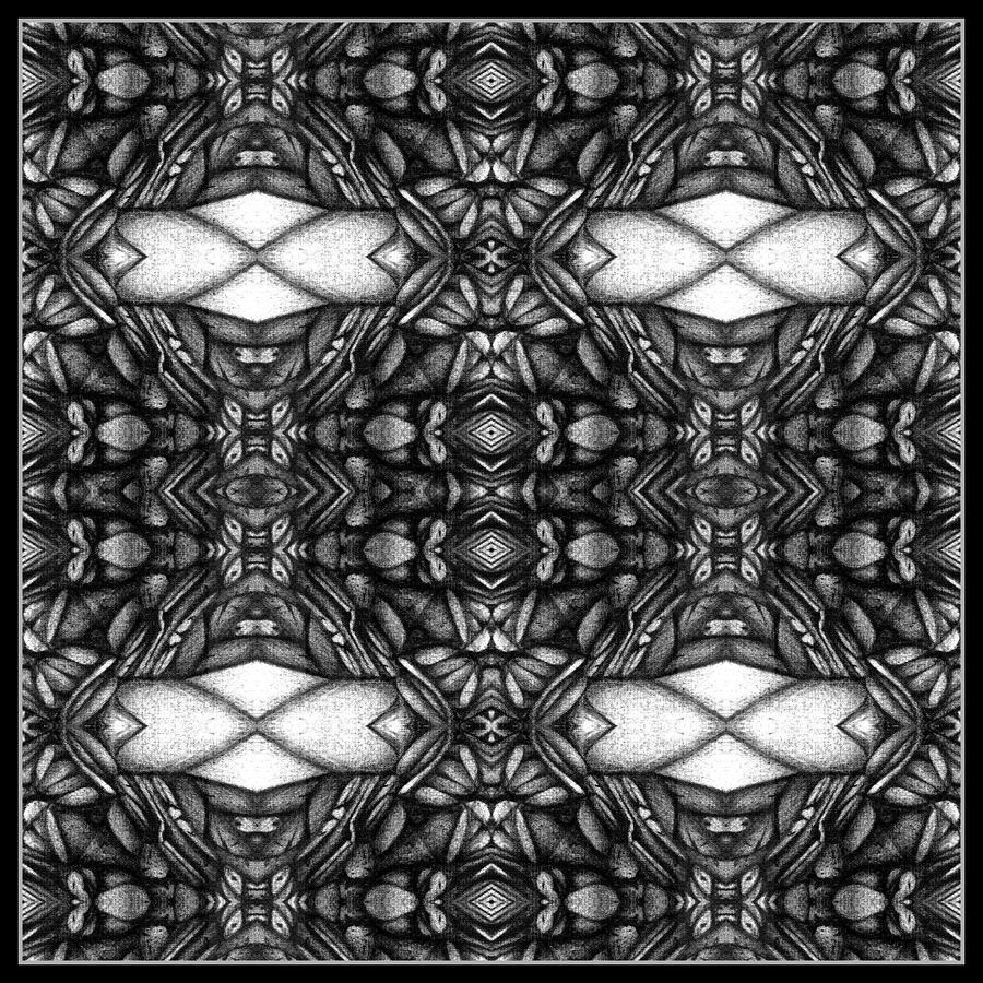 Dark Symetry Digital Art by Jack Dillhunt