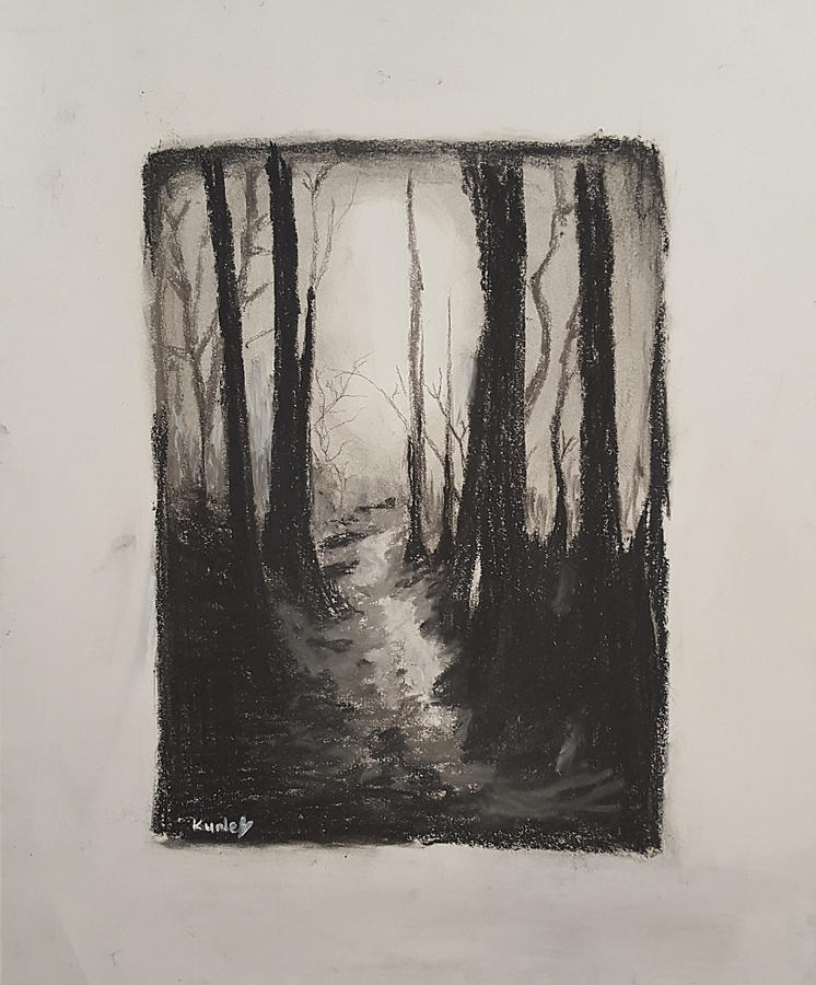 Dark Woods Drawing