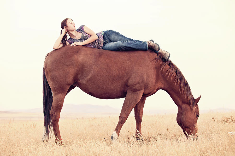 Daydreaming On A Horse Photograph
