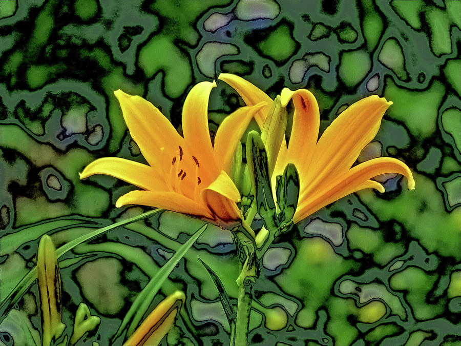 Daylily Delight #1 Photograph by MTBobbins Photography