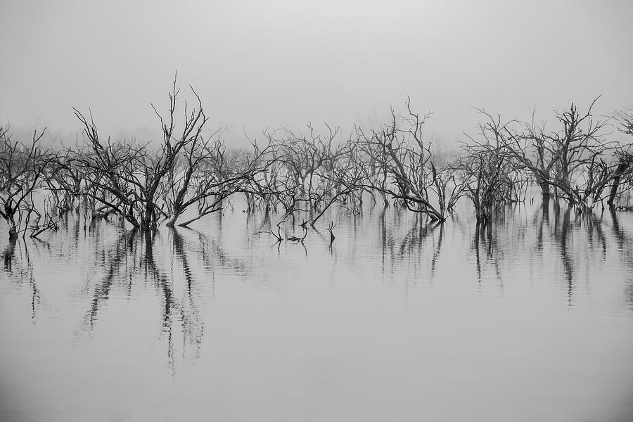 Dead Lake Reflections #1 Photograph by Ryan Heffron